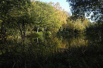 Parkland view