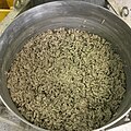 Freshly mixed hempcrete
