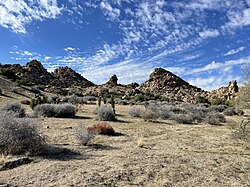 Pioneertown Mountains Preserve