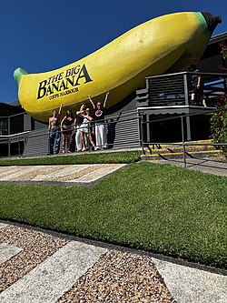 The Big Banana