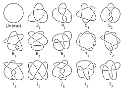 ภาพจำลองทางโทโพโลยี
