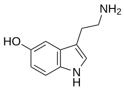 Serotonin system diagram