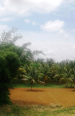 บรรยากาศภายในเมืองเยเดยูน