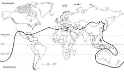 แผนที่แสดงเส้นบรันด์ท