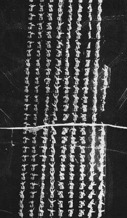 การพัฒนา Kinetoscope