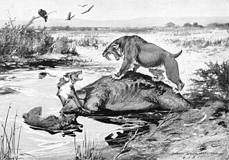 Formation of Tar Pits