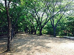 อาคารเรียนในมหาวิทยาลัยวอนกวัง