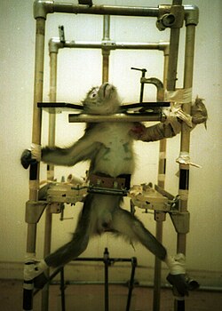 Silver Spring monkeys case
