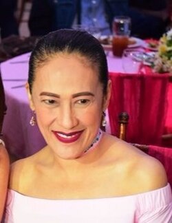 Ai-Ai delas Alas Career