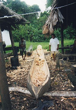 ชาววาราโอกำลังสร้างเรือแคนูแบบขุด