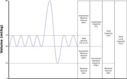 เครื่อง Spirometer