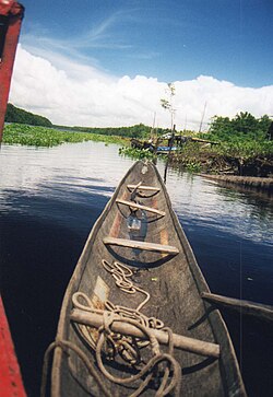 เรือบองโกแบบดั้งเดิม