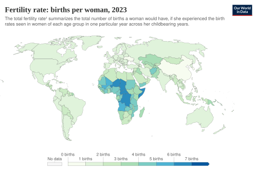 Total Fertility Rate Overview
