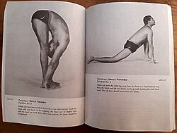 หน้าปกหนังสือ The Complete Illustrated Book of Yoga