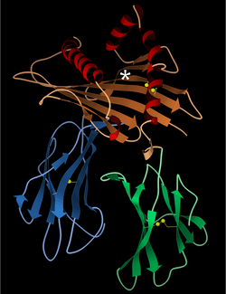 Structural Biology Research