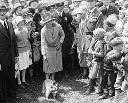 Coolidge family and Rebecca