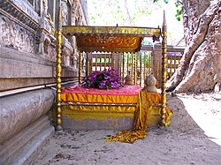 บรรยากาศบริเวณรอบต้นพระศรีมหาโพธิ์
