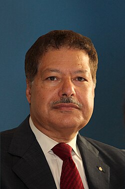 อะห์เหม็ด เซวาล ในปี 2010