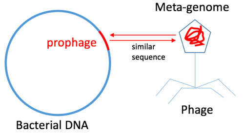 แผนภูมิแสดงการกระจายตัวของไวรัสและโฮสต์