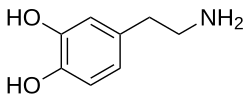 Dopamine system pathways