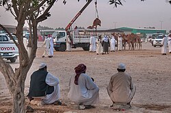 Industrial area in Abu Hamour
