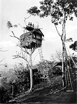 ภาพจำลองหรือภาพวาดเกี่ยวกับที่พักอาศัยบนต้นไม้ในอดีต