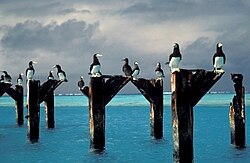ทัศนียภาพของหนึ่งในหมู่เกาะนอกชายฝั่งขนาดเล็กของสหรัฐอเมริกา